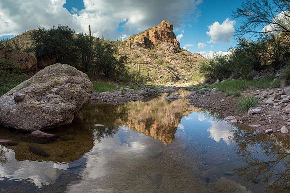 Arizona 2018
