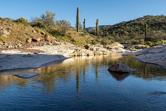 Arizona 2020