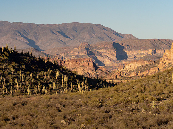 Arizona 2019
