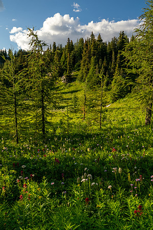 Banff National Park 2025