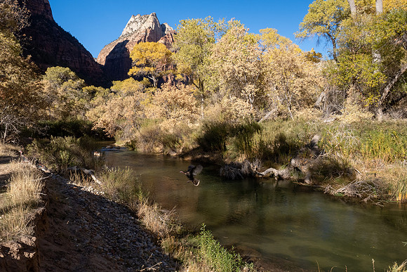 Zion National Park 2024