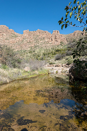 Arizona 2019