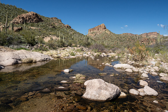 Arizona 2020