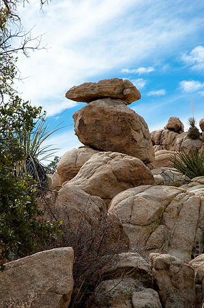 Joshua Tree National Park