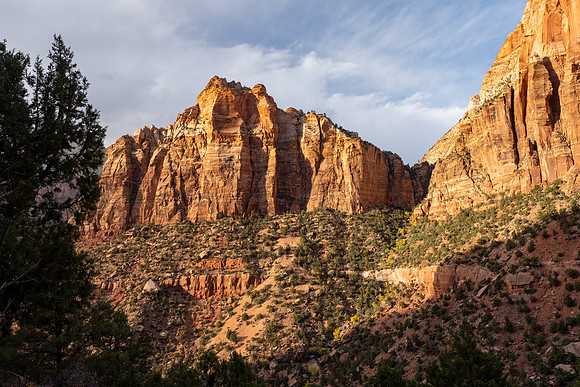 Zion National Park 2024