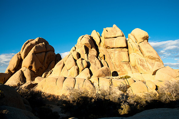 Joshua Tree National Park