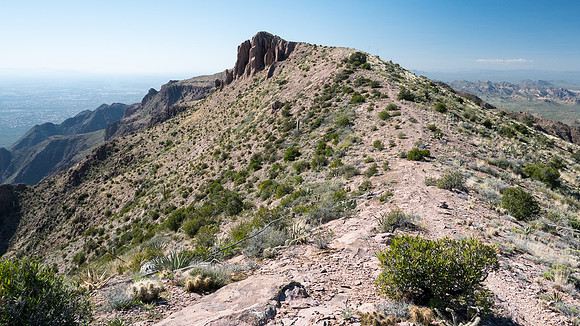 Arizona 2015 - Superstitions Ridge Hike (Mar)
