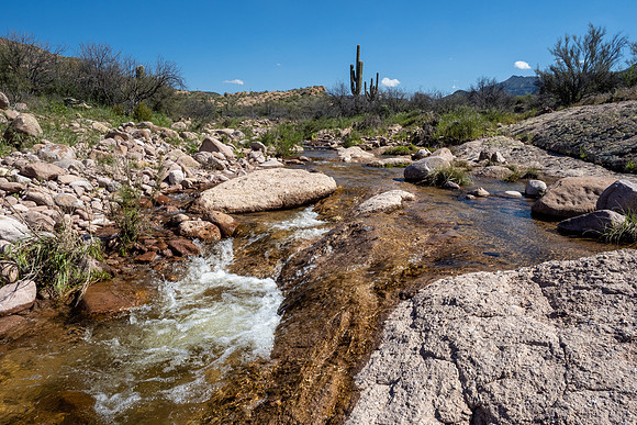 Arizona 2020