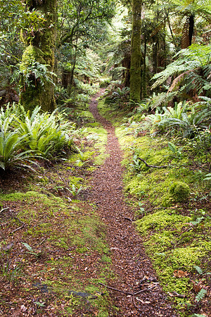 New Zealand 2013