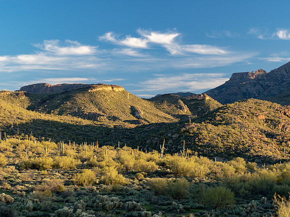 Arizona 2019