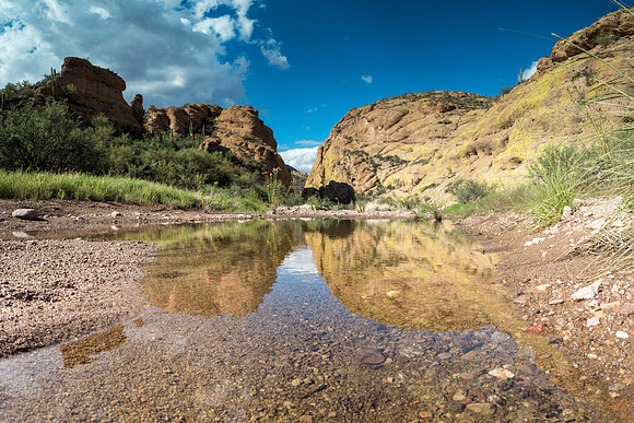 Arizona 2018