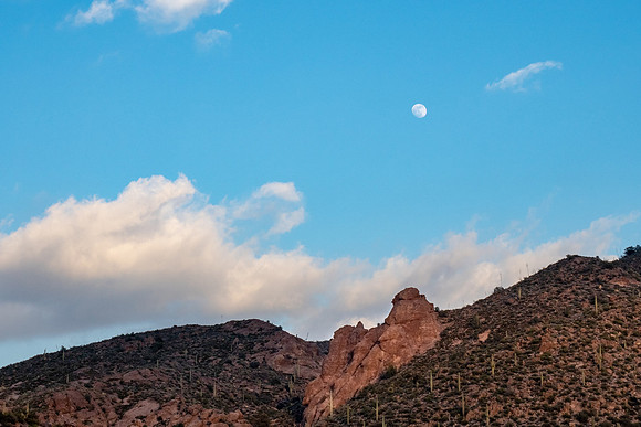 Arizona 2019