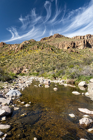 Arizona 2020
