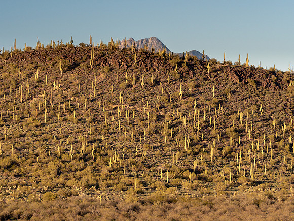 Arizona 2019