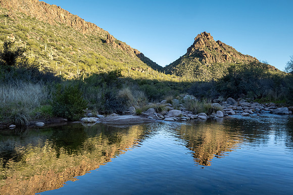 Arizona 2020