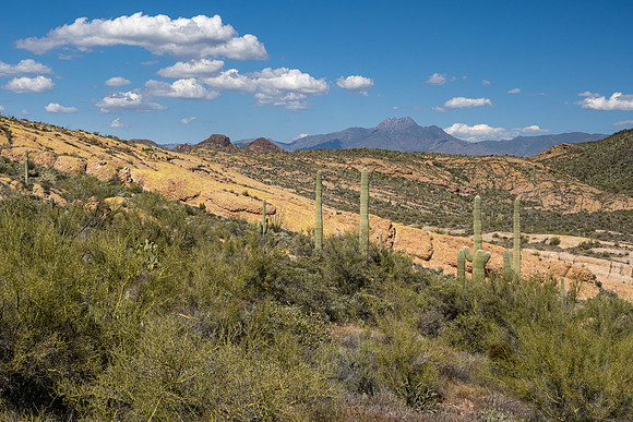 Arizona 2020