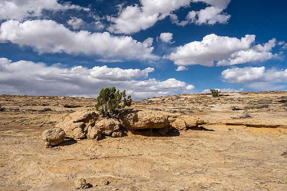New Mexico 2025