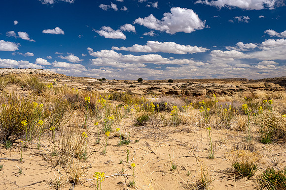 New Mexico 2025