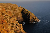 Ireland 2011