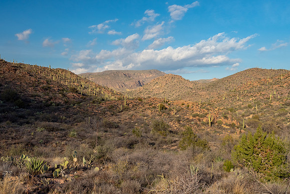 Arizona 2019
