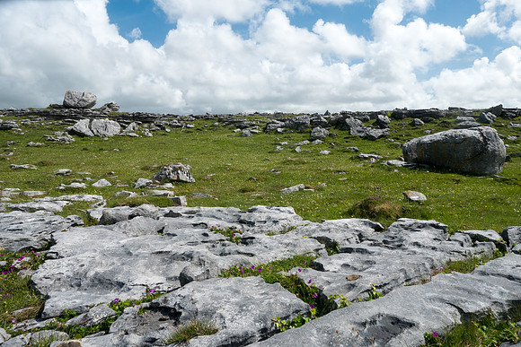Ireland 2017