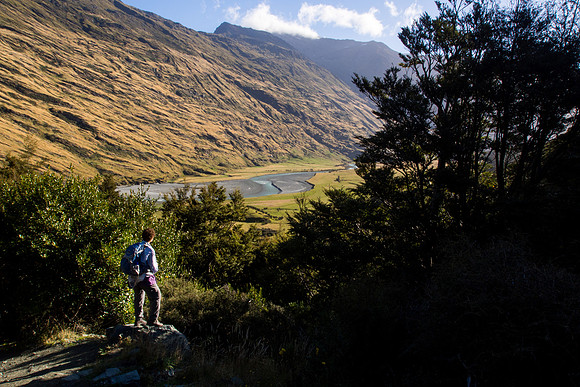 New Zealand 2013