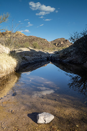 Arizona 2021