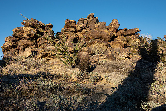 Arizona 2021