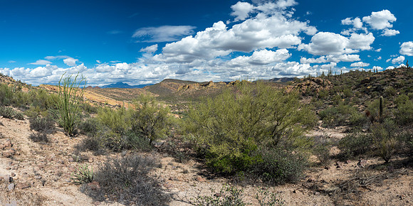 Arizona 2018