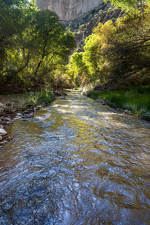 Arizona 2022