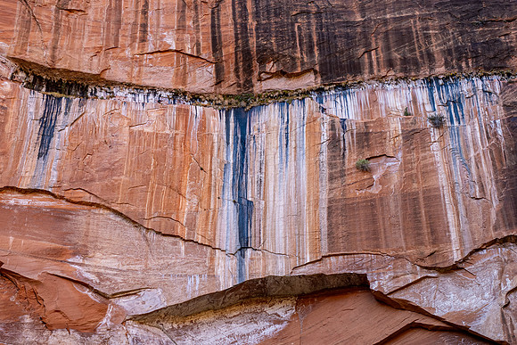Zion National Park 2024