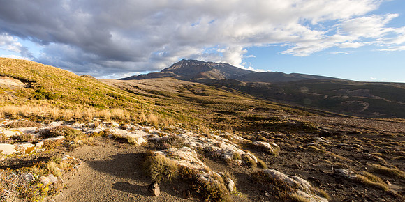 New Zealand 2013