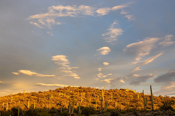 Arizona 2020