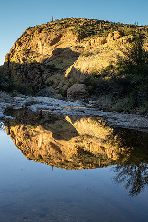 Arizona 2020