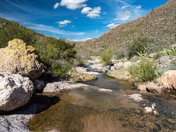 Arizona 2019