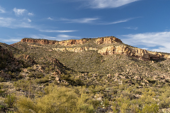 Arizona 2021