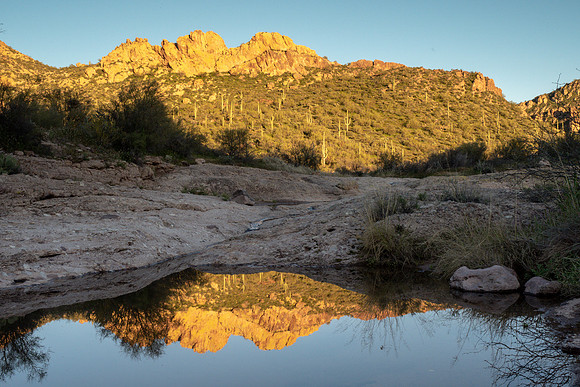 Arizona 2019