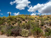 Black Mesa Loop (May 2019))