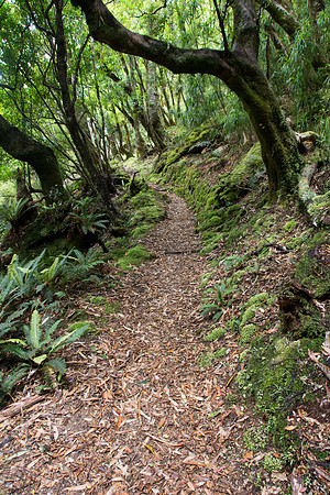 New Zealand 2013