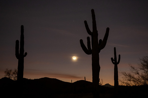 Arizona 2021