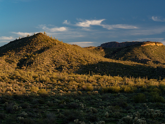 Arizona 2019