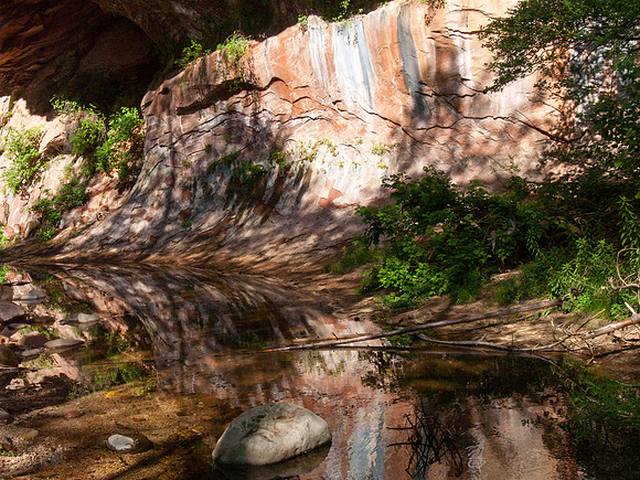 Arizona 2005