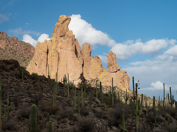 Arizona 2018