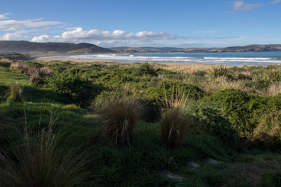 New Zealand 2013