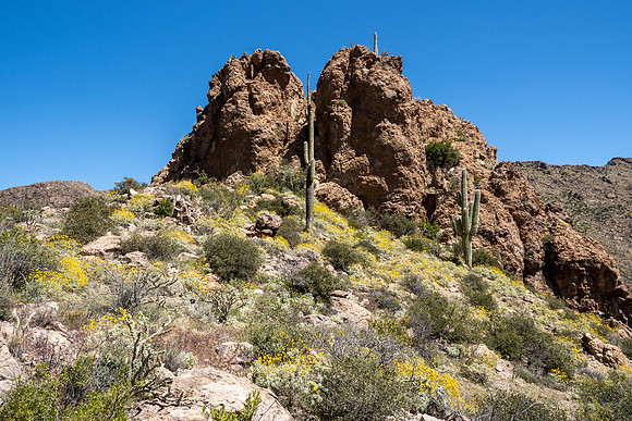 Arizona 2020