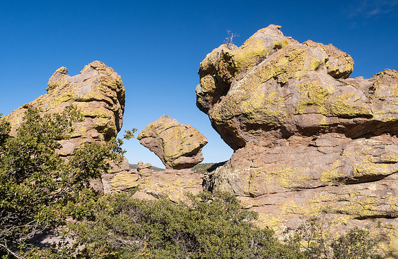 Arizona 2024