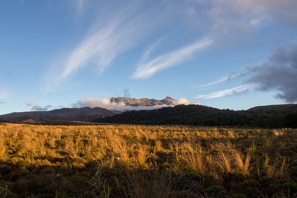 New Zealand 2013