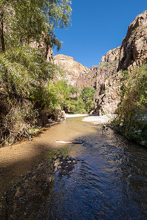 Arizona 2022