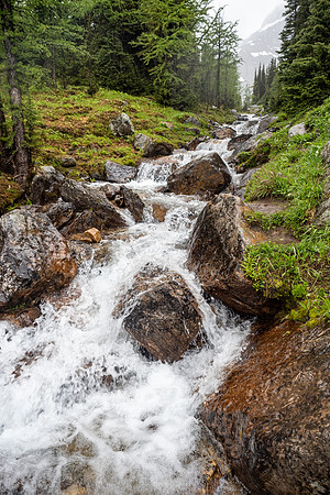 Pacific NW 2019