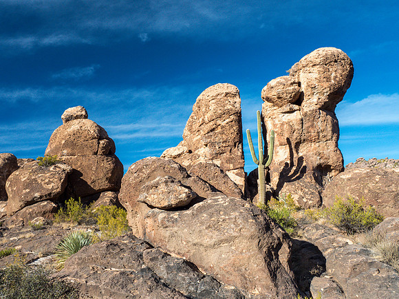 Arizona 2018